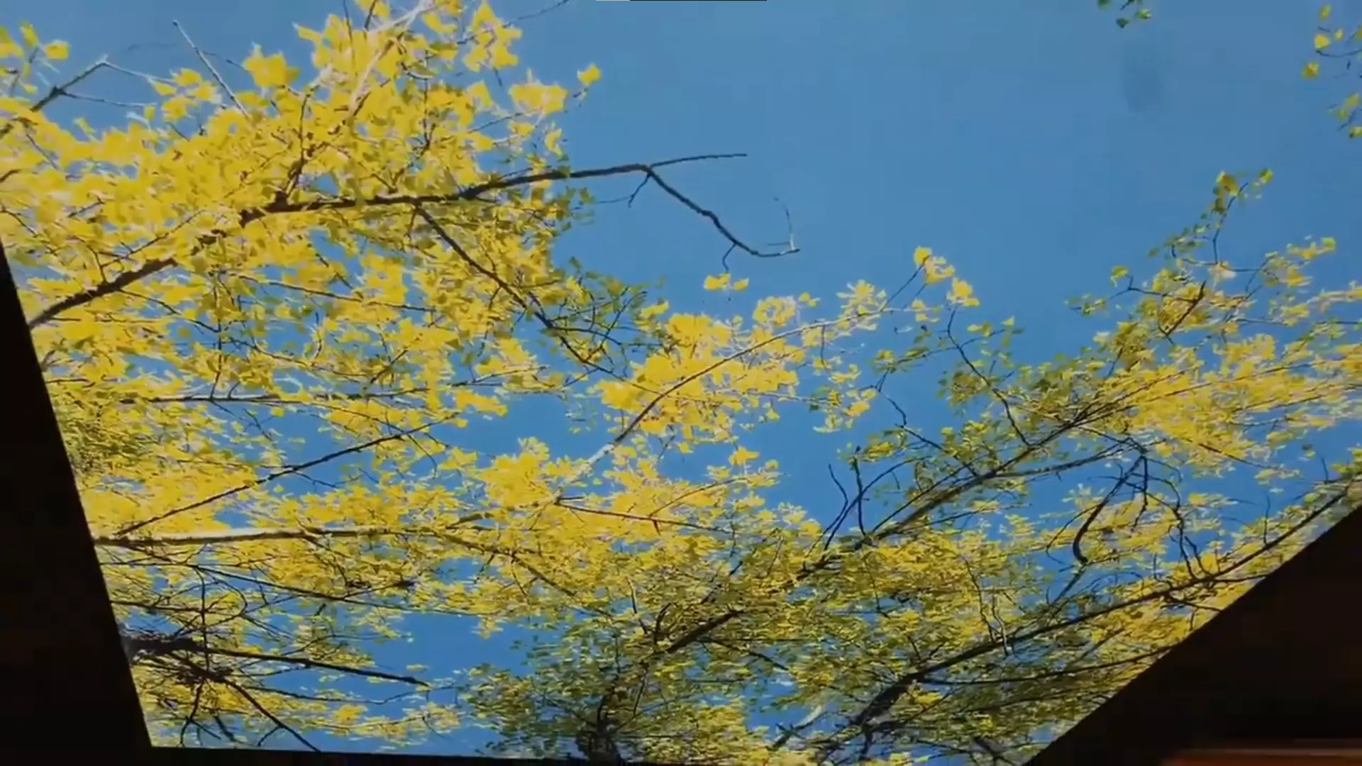 Мытищи, Семашко, 35, фото 2